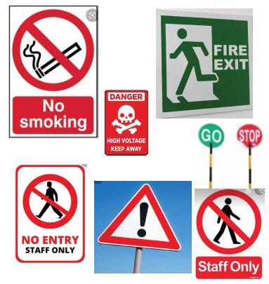 Kilimanjaro Pement Plant